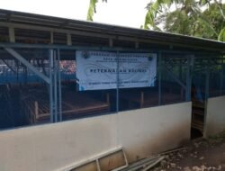 BUMDes Tunas Wangun Bakti Targetkan Pendapatan Rp170 Juta dari Budidaya Kelinci dan Cabai